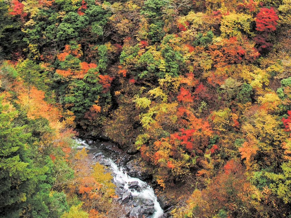Hotel Suikoen Šizuoka Exteriér fotografie